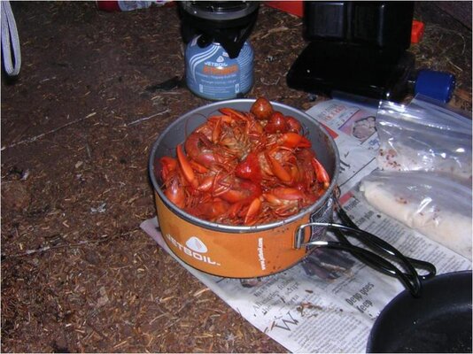 Crawdads.jpg