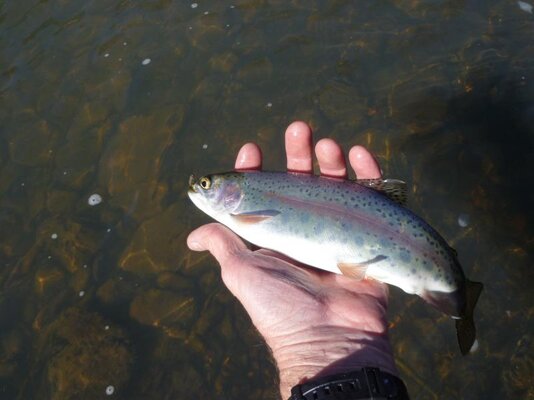 Crooked River 011.jpg