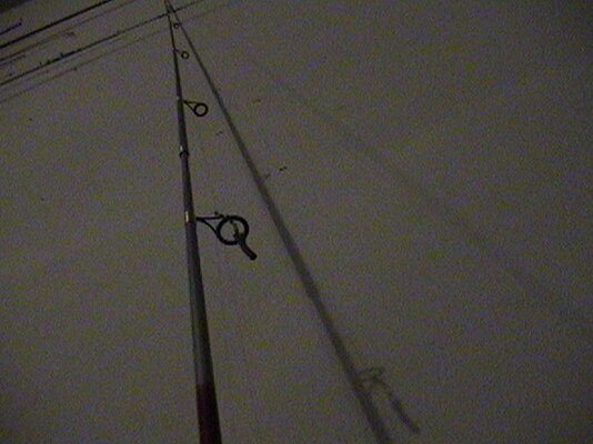 DSC02438.JPG