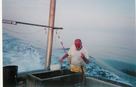 image16.jpg