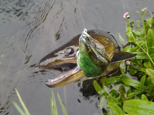 20131109_084857.jpg