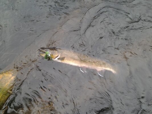 20131109_084818.jpg