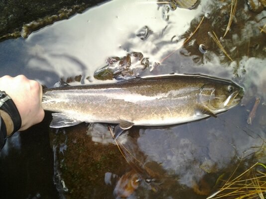 20131103_085359.jpg