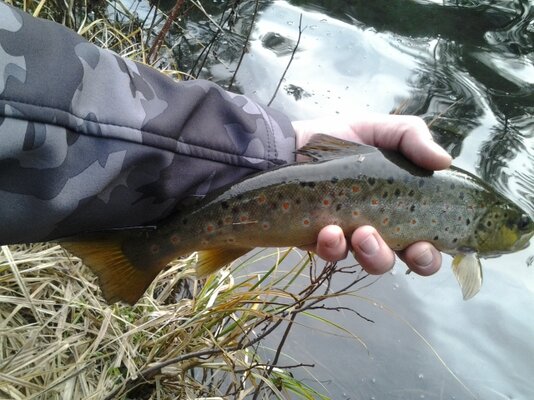 20131127_092251.jpg