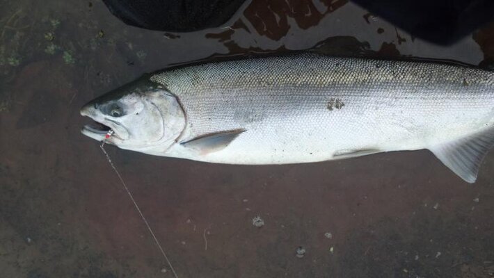 2013-12-06_14-31-22_442.jpg 2013-12-06_14-31-22_442.jpg