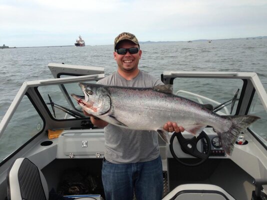 salmon1.jpg