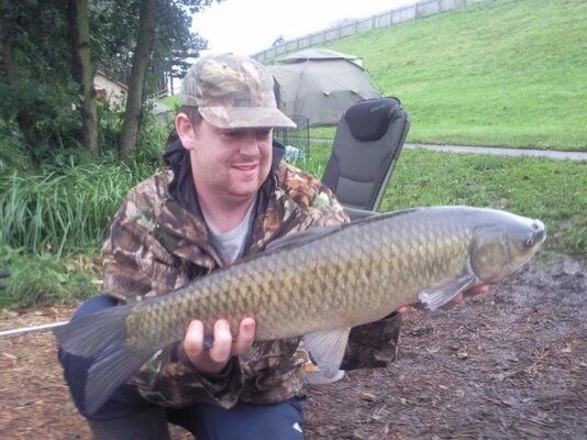 carp.jpg