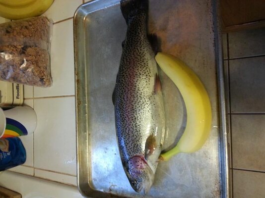 20140224_154445.jpg