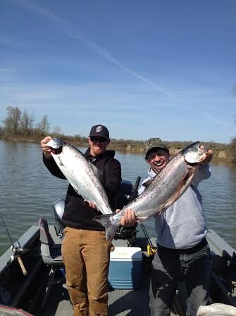 springer pic.jpg