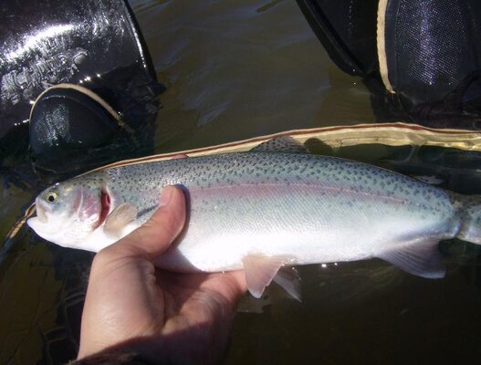 Turner lake 14' 047.jpg