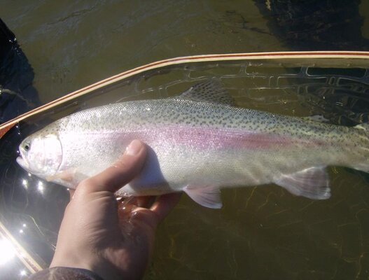 Turner lake 14' 065.jpg