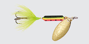 Rooster Tail Fire Tiger.jpg