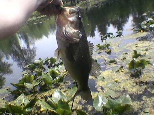 0501141357.jpg