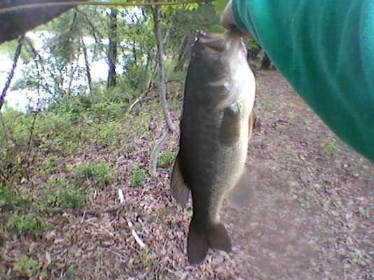 0503141558.jpg