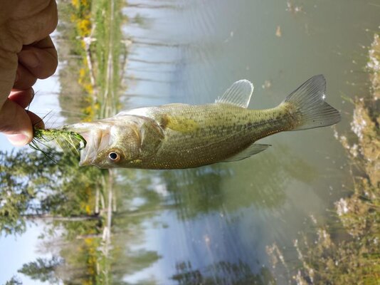 20140507_125143.jpg