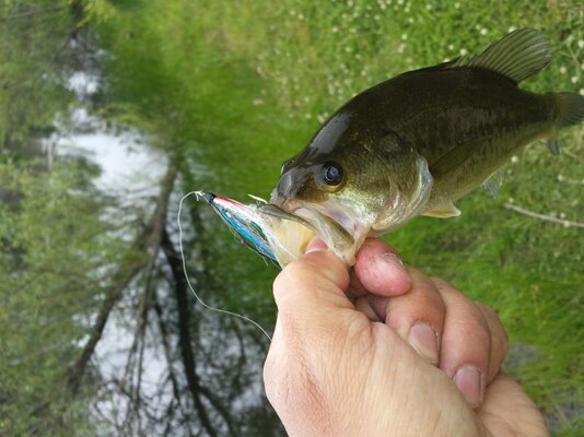 20140516_120916.jpg