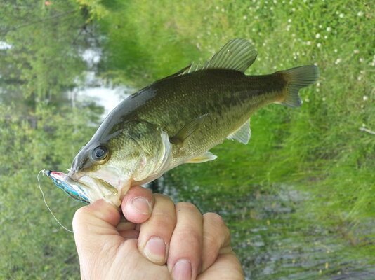 20140516_120910.jpg