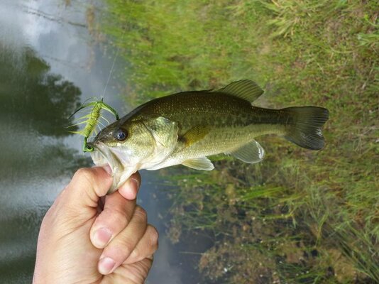 20140516_101132.jpg