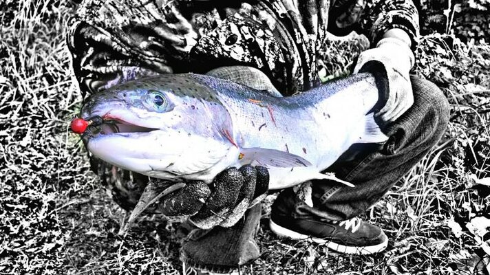 PicsArt_1400970656537.jpg