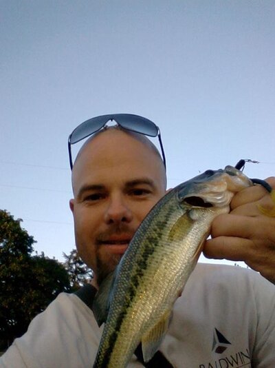 Bass'n 4.jpg