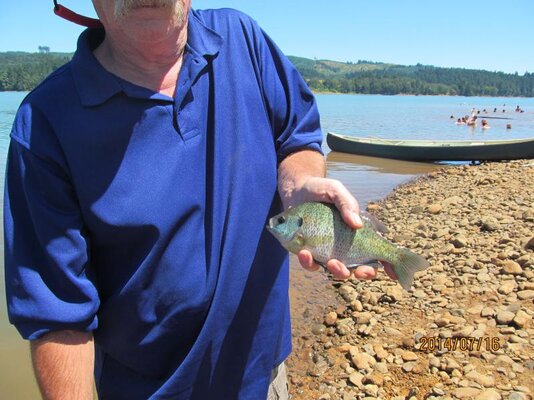crappie.jpg