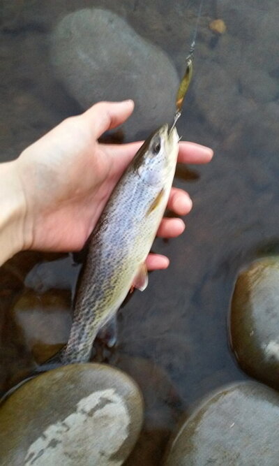 0904140647.jpg