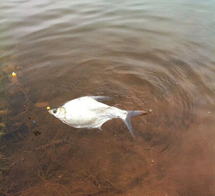 fishing 7.jpg