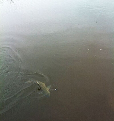 fishing9.jpg