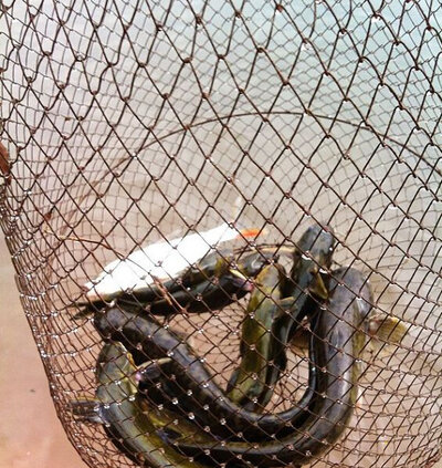fishing10.jpg