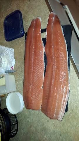 Steelhead Fillet.jpg