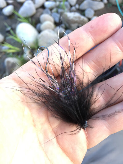 blackfly.jpg