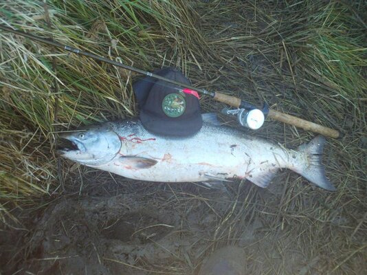 first salmon 2014 011.jpg