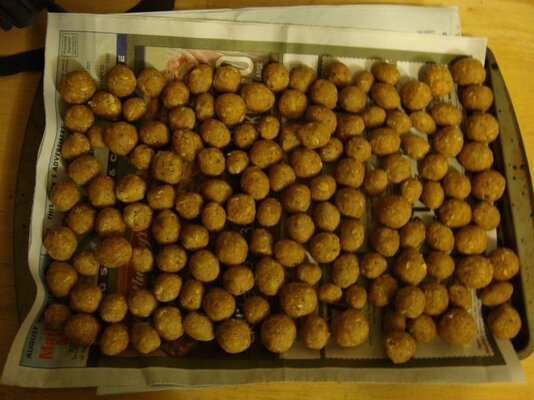 carp pics 008.jpg
