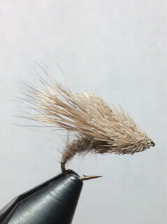 ImageUploadedByTapatalk1420504674.895020.jpg