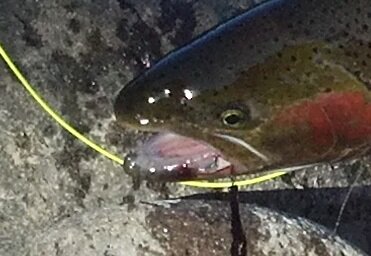 2014-09-06_08-56-27_543.crop.jpg