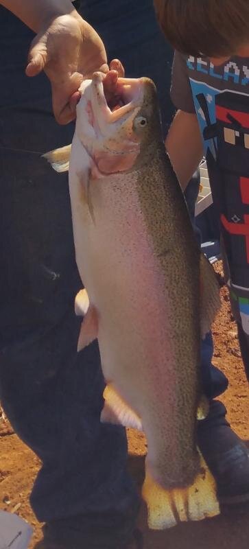 20150307_100457.jpg