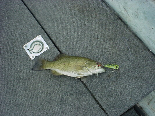 DSC00838.JPG