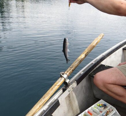 Hooked Other Line.jpg