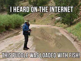 puddle fishing.jpg
