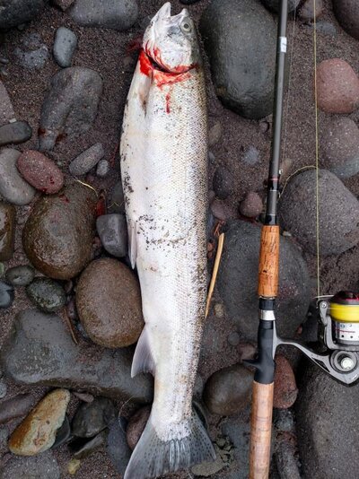 IMG_20160109_101555407_HDR.jpg