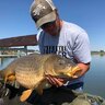 Oregon carp angler