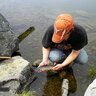 troutbro