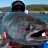 Flyinfish57