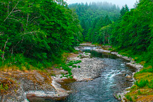 Wilson River Fishing