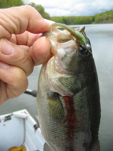 Runcle swimbait Runcle swimbait